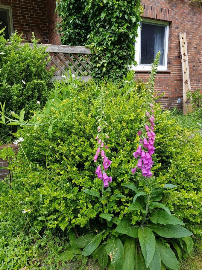 Ferienwohnung Im Naturgarten Schneverdingen Exteriér fotografie